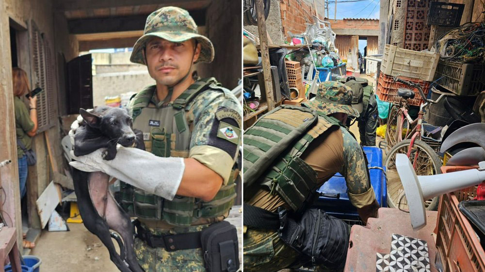 Há momentos em que a palavra “negligência” parece pequena demais.