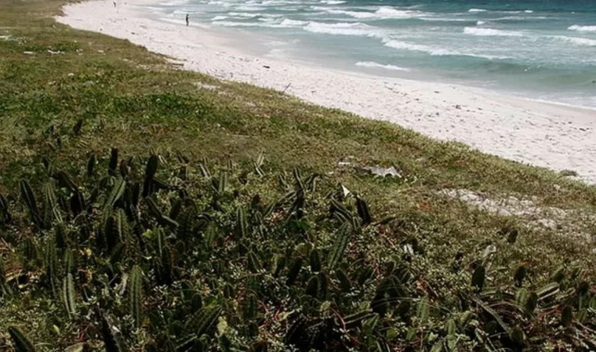 Decisão judicial ordena derrubada de construção irregular em Cabo Frio